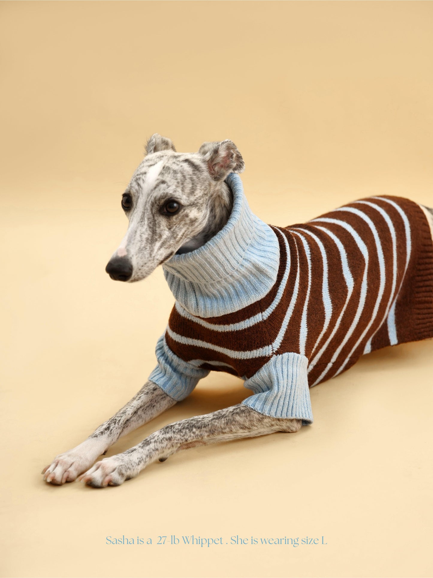 Dog Sweater Bluebell Stripes Two-Tone Turtleneck 🧶