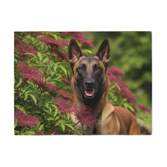 Belgian Shepherd Dog Malinois Sweatshirt Blanket