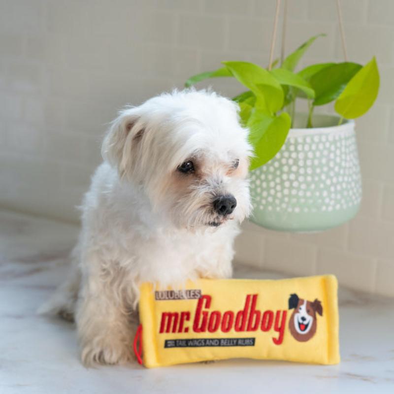 Mr. Goodboy Plush Dog Toy