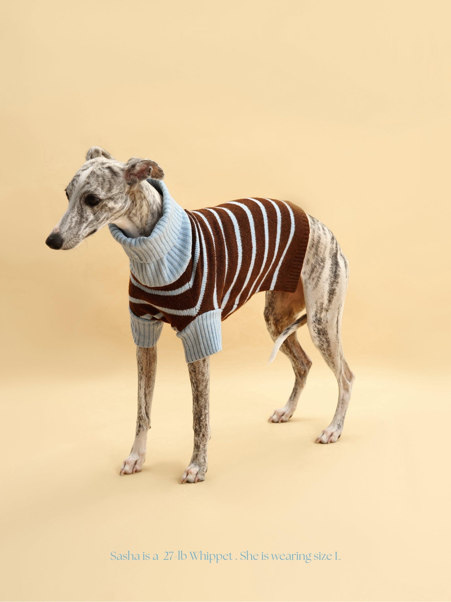 Dog Sweater Bluebell Stripes Two-Tone Turtleneck 🧶