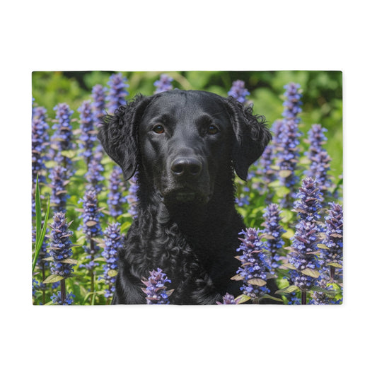 Curly Coated Retriever Sweatshirt Blanket