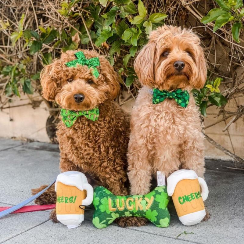 Lucky Charm Bone Dog Toy - 2 Sizes