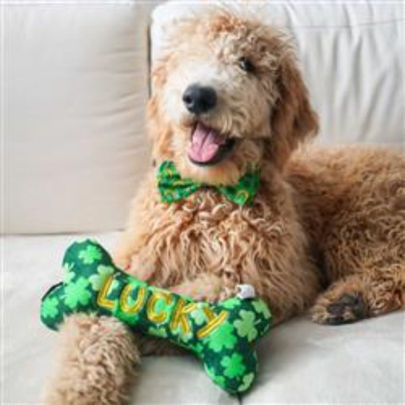 Lucky Charm Green Bow Tie - 3 Sizes