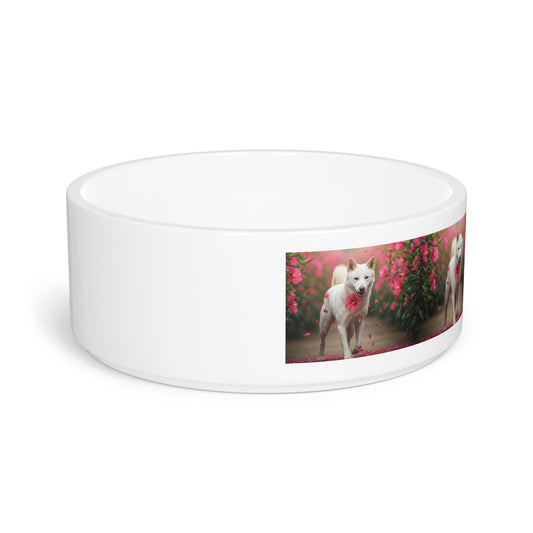 Korean Jindo Dog Pet Bowl