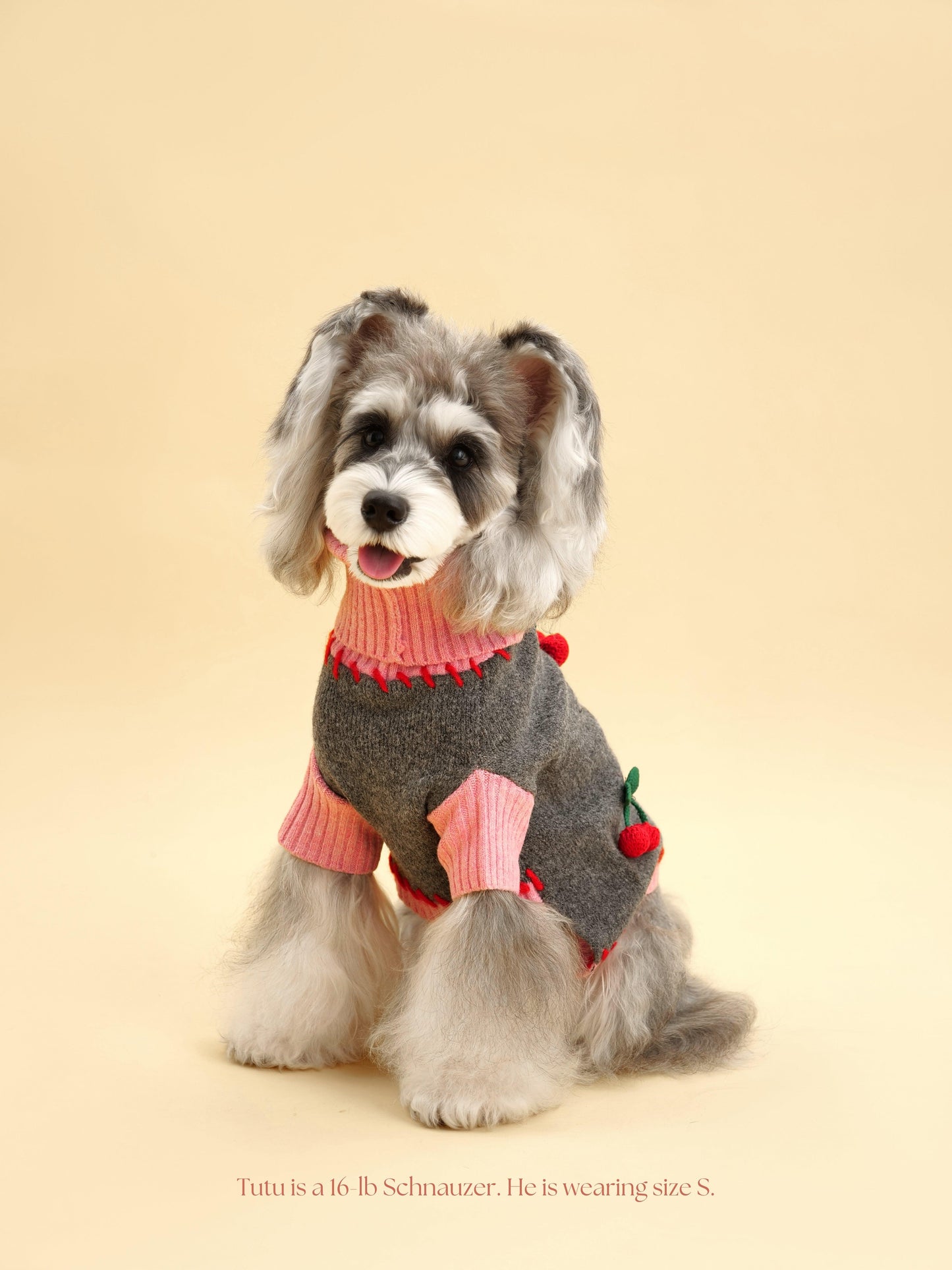 Dog Sweater Cherry Kiss Handmade Turtleneck 🧶