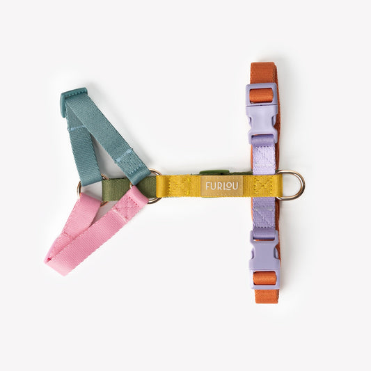 Rainbow - Dog Harness - detail view