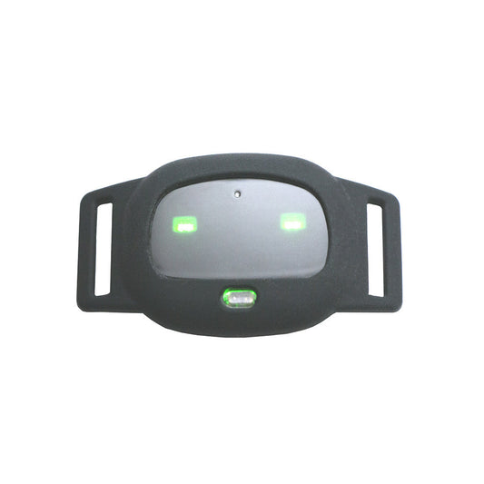 Miniature Abs Pet Collar Multifunctional Locator Dog Premium - detail view