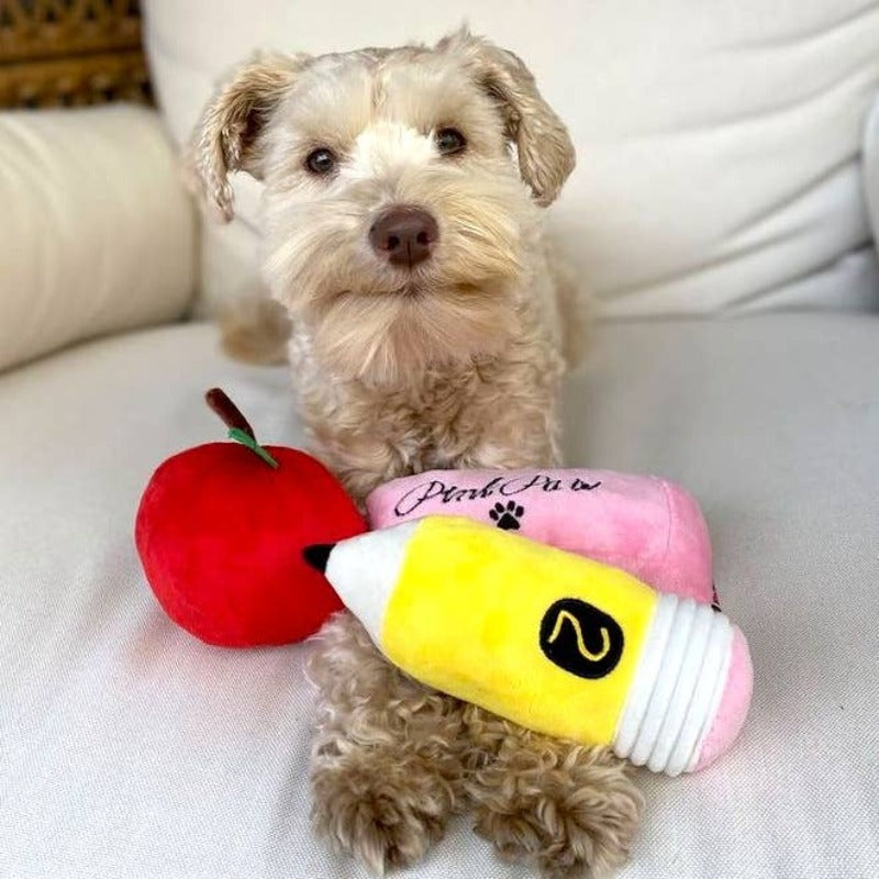 Teacher's Pet Combo Toy Set of 3 - Dog Toys - Pencil, Apple, Eraser