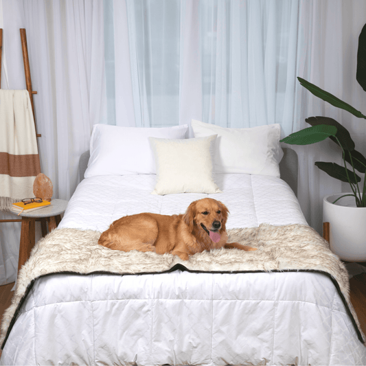 PupProtector™ Waterproof Bed Runner - White with Brown