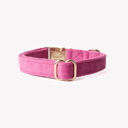 Magenta - Velvet Dog Collar