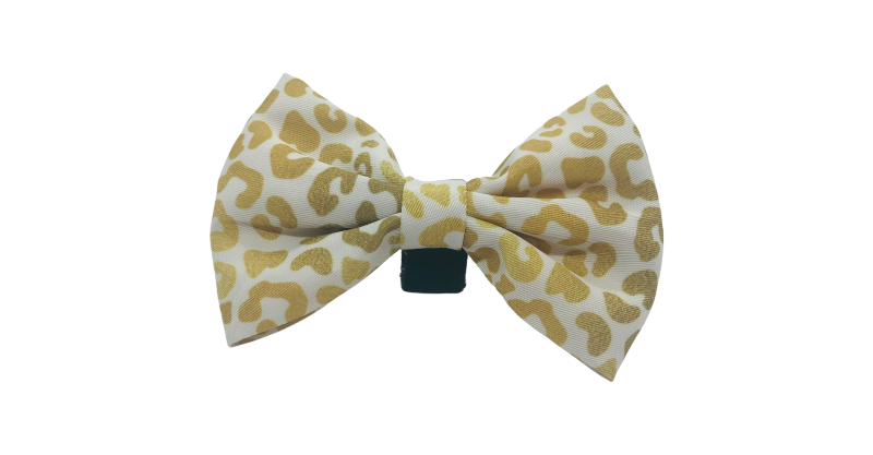 You're So Golden Leopard Gold Bow Tie Dog Collar Attachment