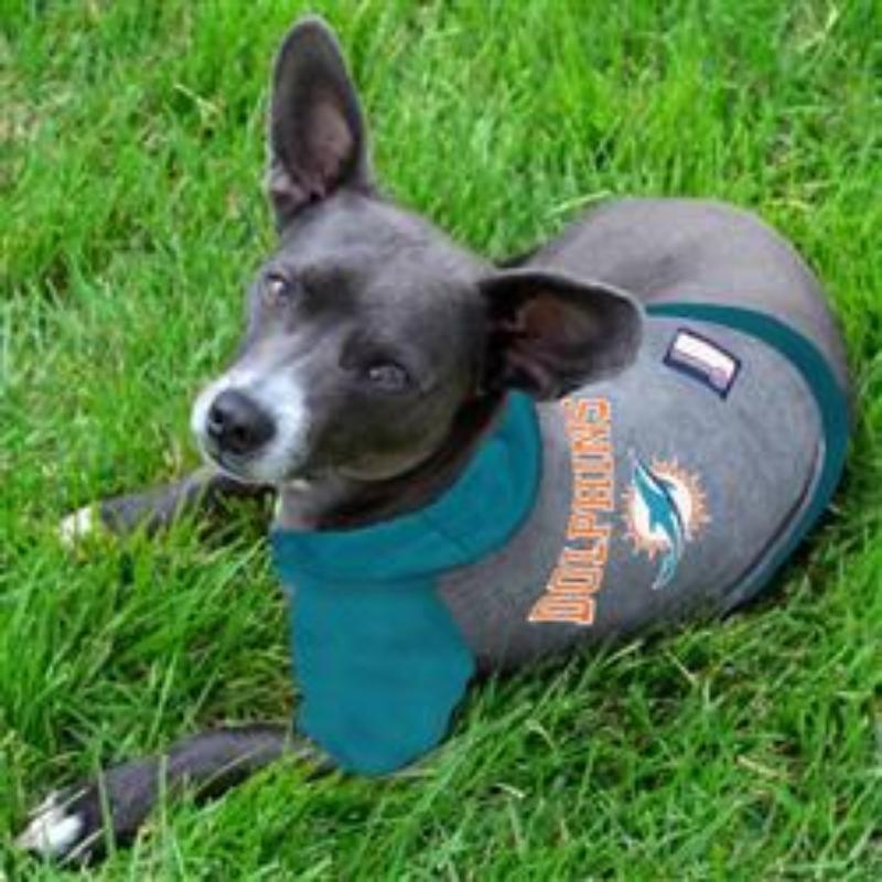 Miami Dolphins Hoody Dog Tee