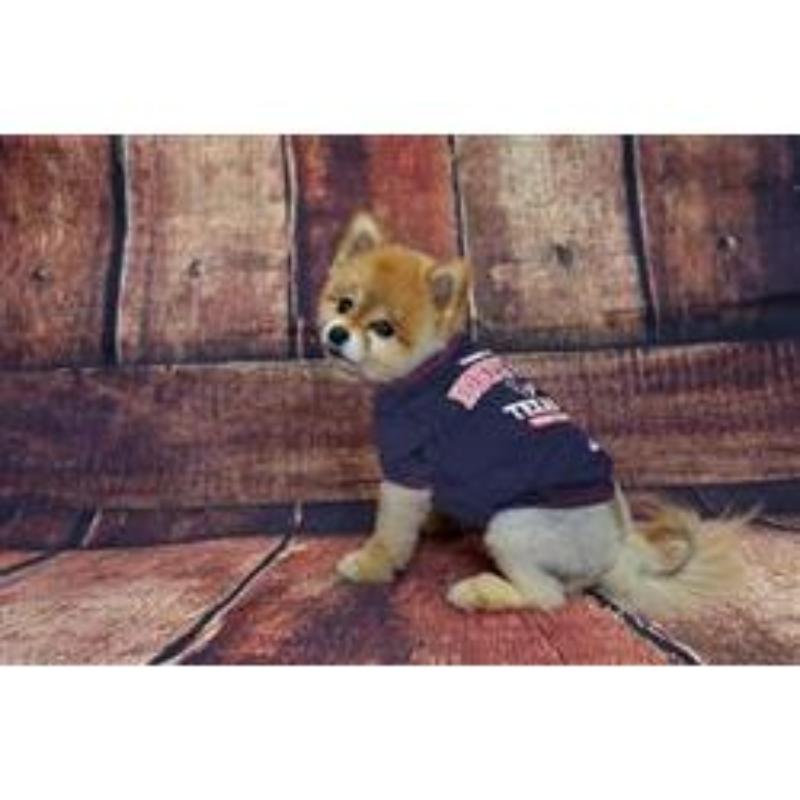 Houston Texans Dog Tee