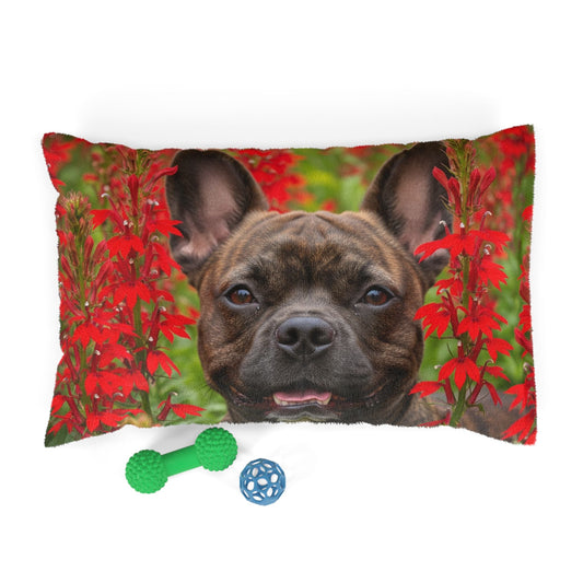 Frenchton Pet Bed