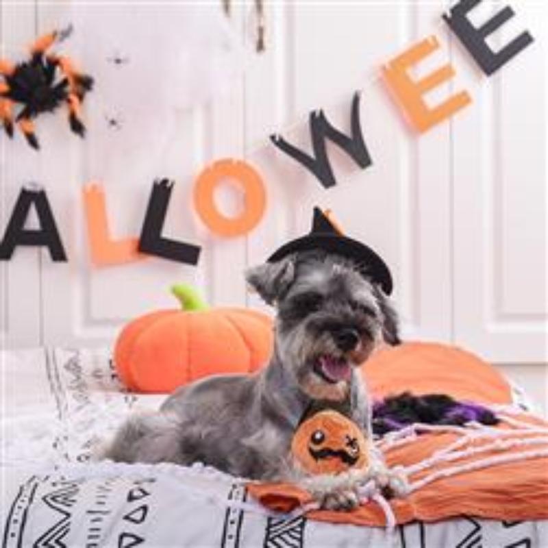 Howloween Night Pumpkin Ball Pet Toy