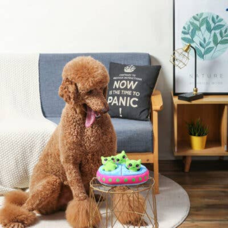 Space Paws Aliens Interactive Plush Dog Toy Set - 4 Pc