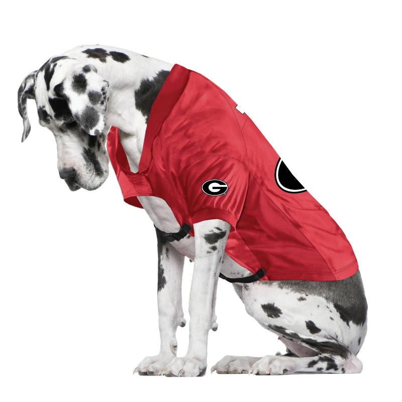 GA Bulldogs Big Dog Stretch Dog Jersey