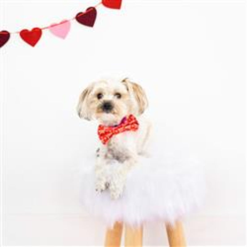 Valentine's Woof You Dog Bowtie, XS/S