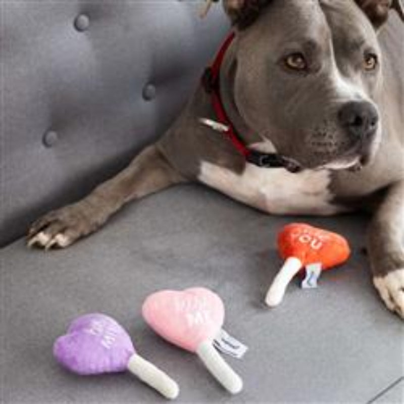 Valentine's Conversation Hearts Dog Toys, Set of 3