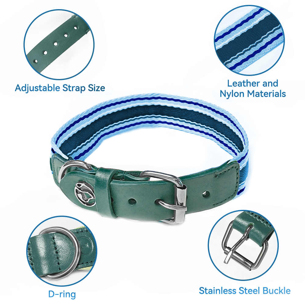 Adjustable Dog Collar And Leash Set ๐ - Purrfect Pet Kingdom