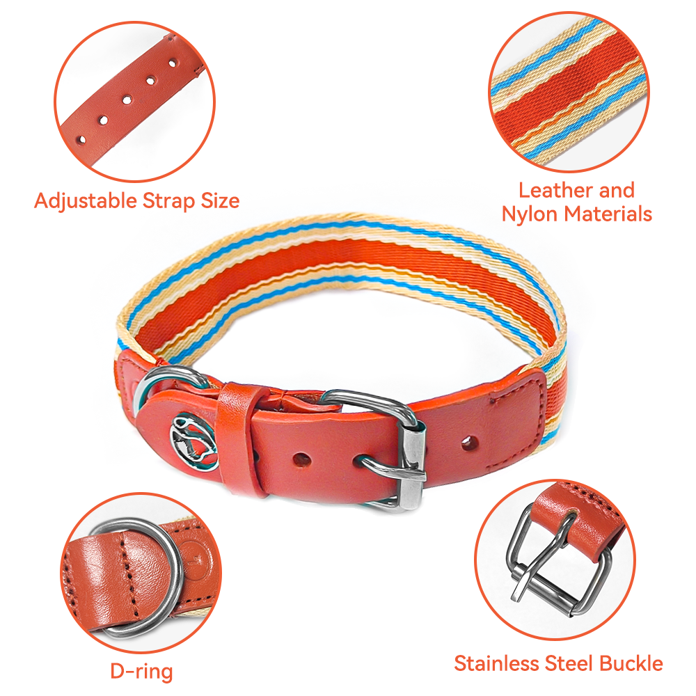Adjustable Dog Collar And Leash Set ๐ - Purrfect Pet Kingdom