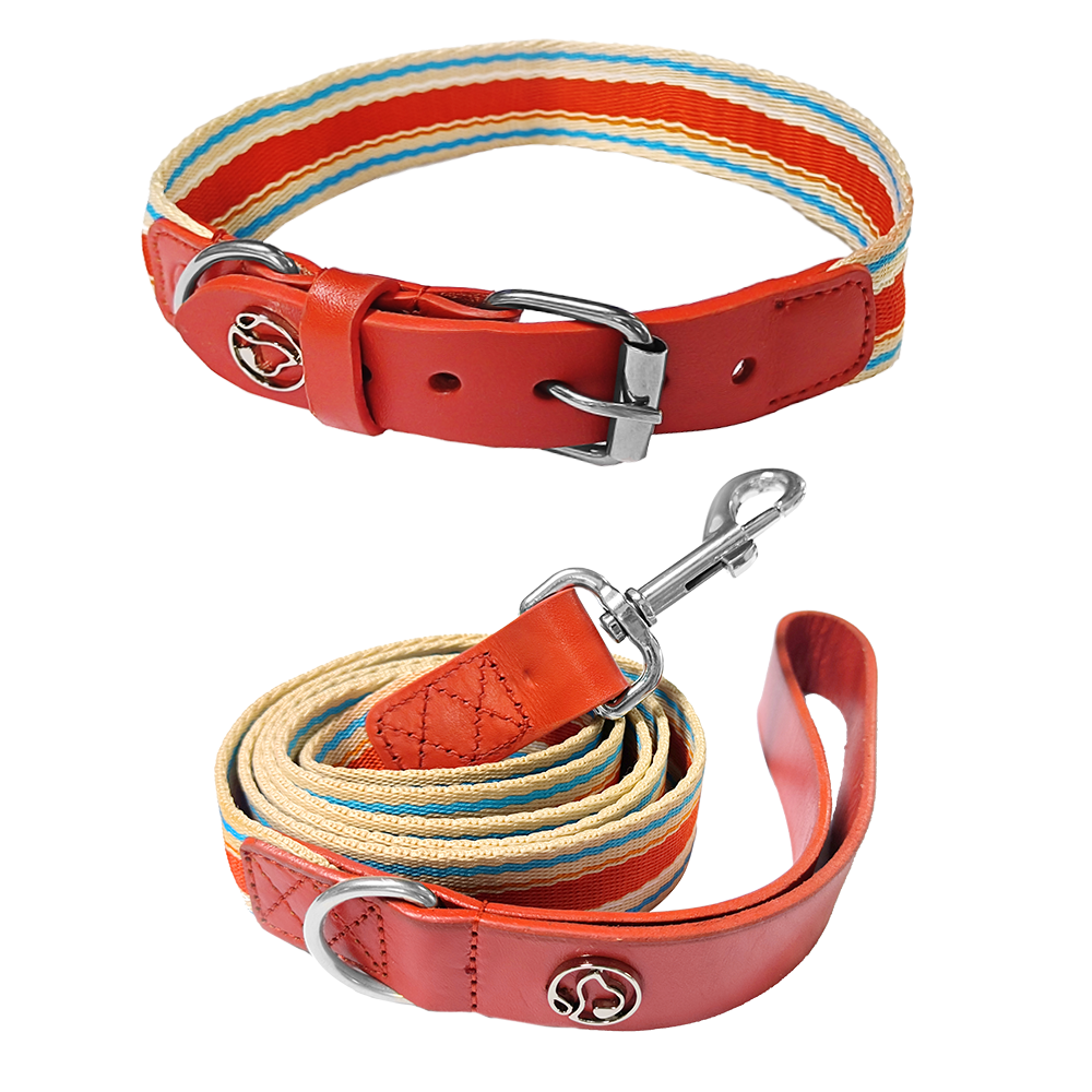 Adjustable Dog Collar And Leash Set ๐ - Purrfect Pet Kingdom