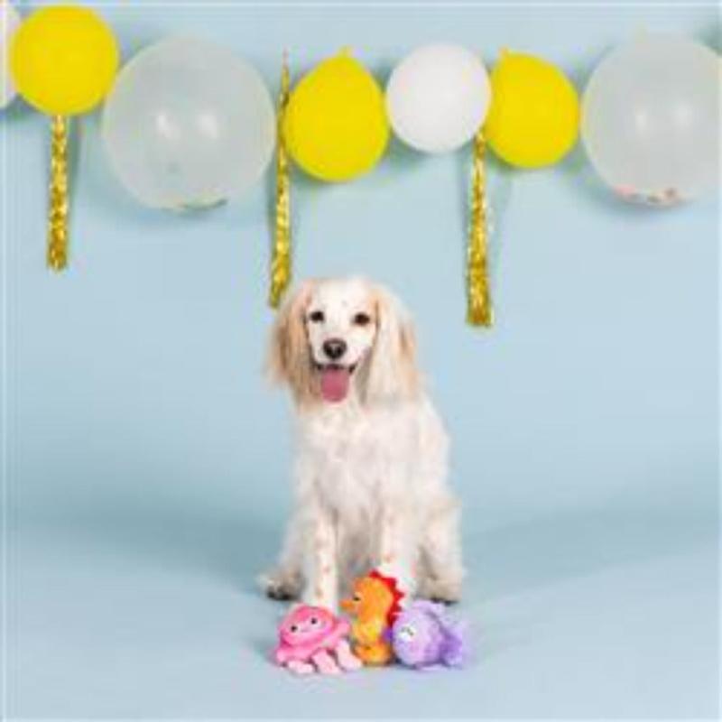 It's A Water-ful Life Small Plush Dog Toy Set of 3