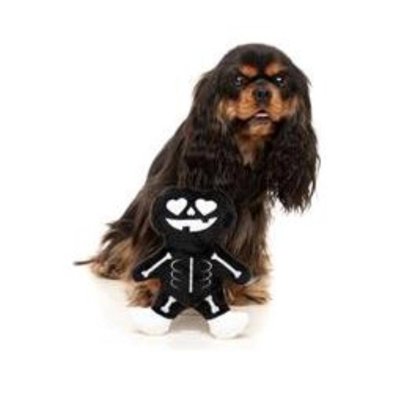 X-Ray Pumpkin Dog Toy