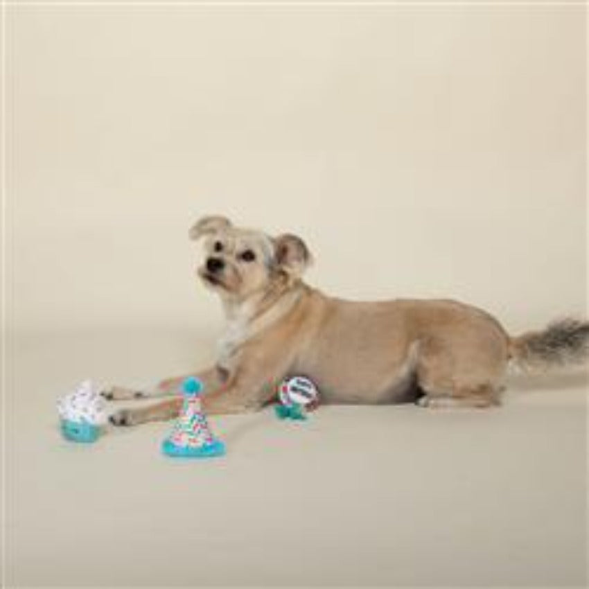 Happy Bark-day Small Plush Dog Toys Set of 3