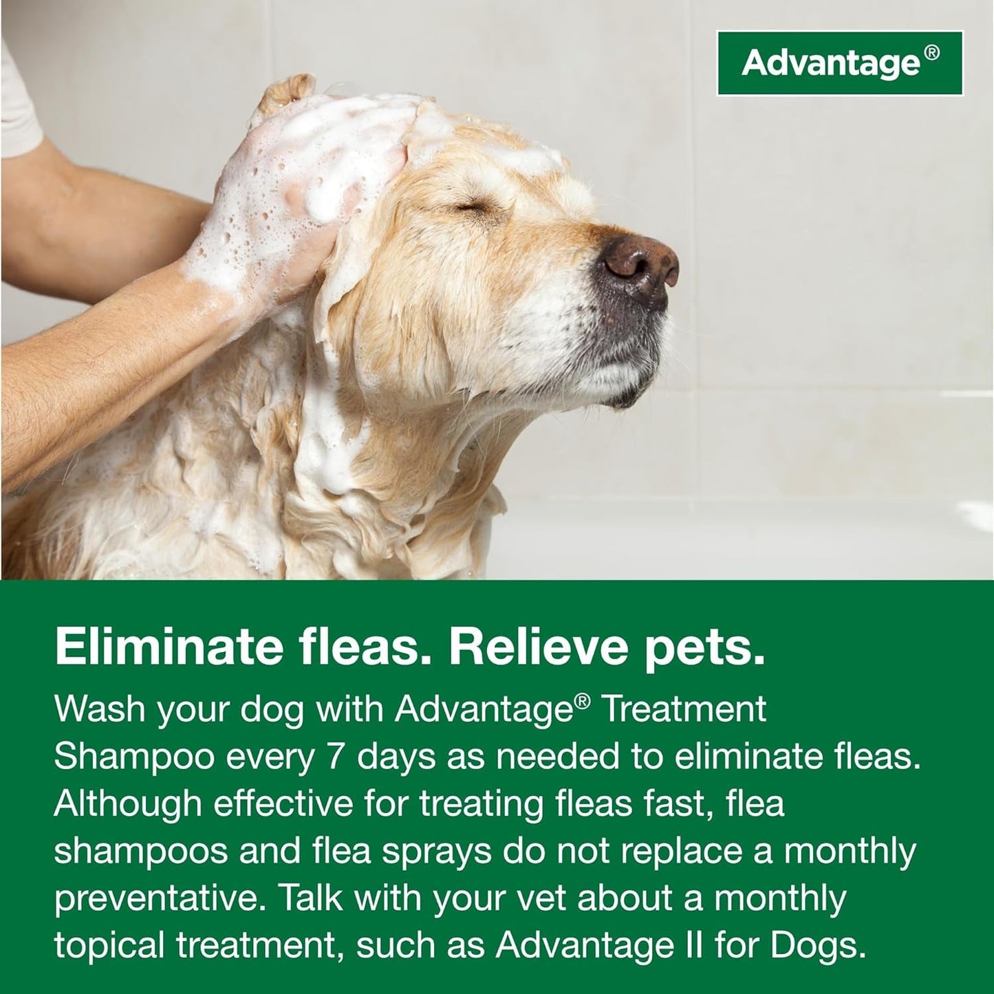 Flea And Tick Shampoo Dogs Puppies 12 Oz ๐