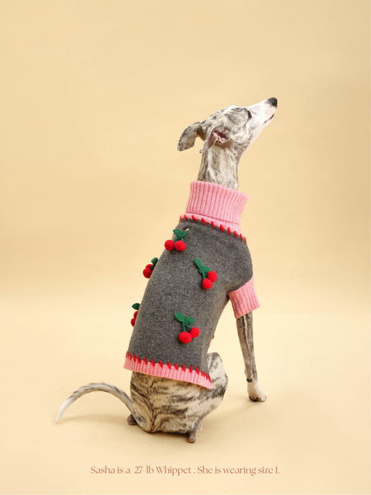 Cherry Kiss Sweater - Dog Sweater - BarkBarkBaby