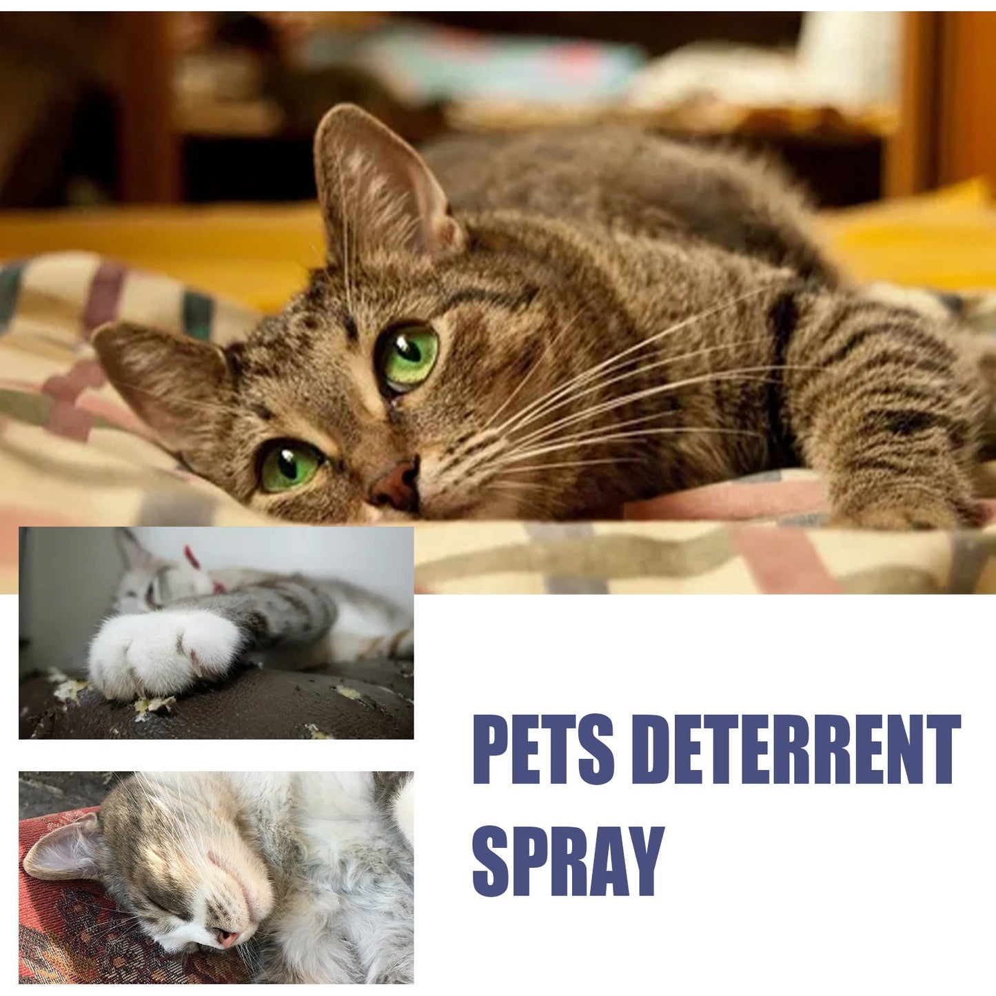 Pet Anti-Scratch Spray Exclusion Zone Set Up Spray Cat And Dog Scratching Door Sofa Anti-Scratch Solution - Purrfect Pet Kingdom
