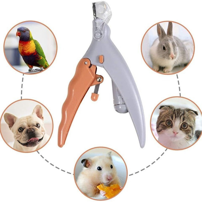 Professional LED - lit pet nail clippers for cats and dogs. Toe - claw cutting tool, pet supplies. - Purrfect Pet Kingdom
