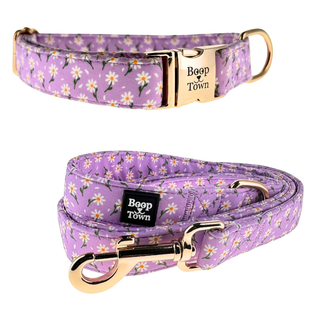 Dog Collar Leash Set Purple Daisy Pattern 5.5 Oz ๐