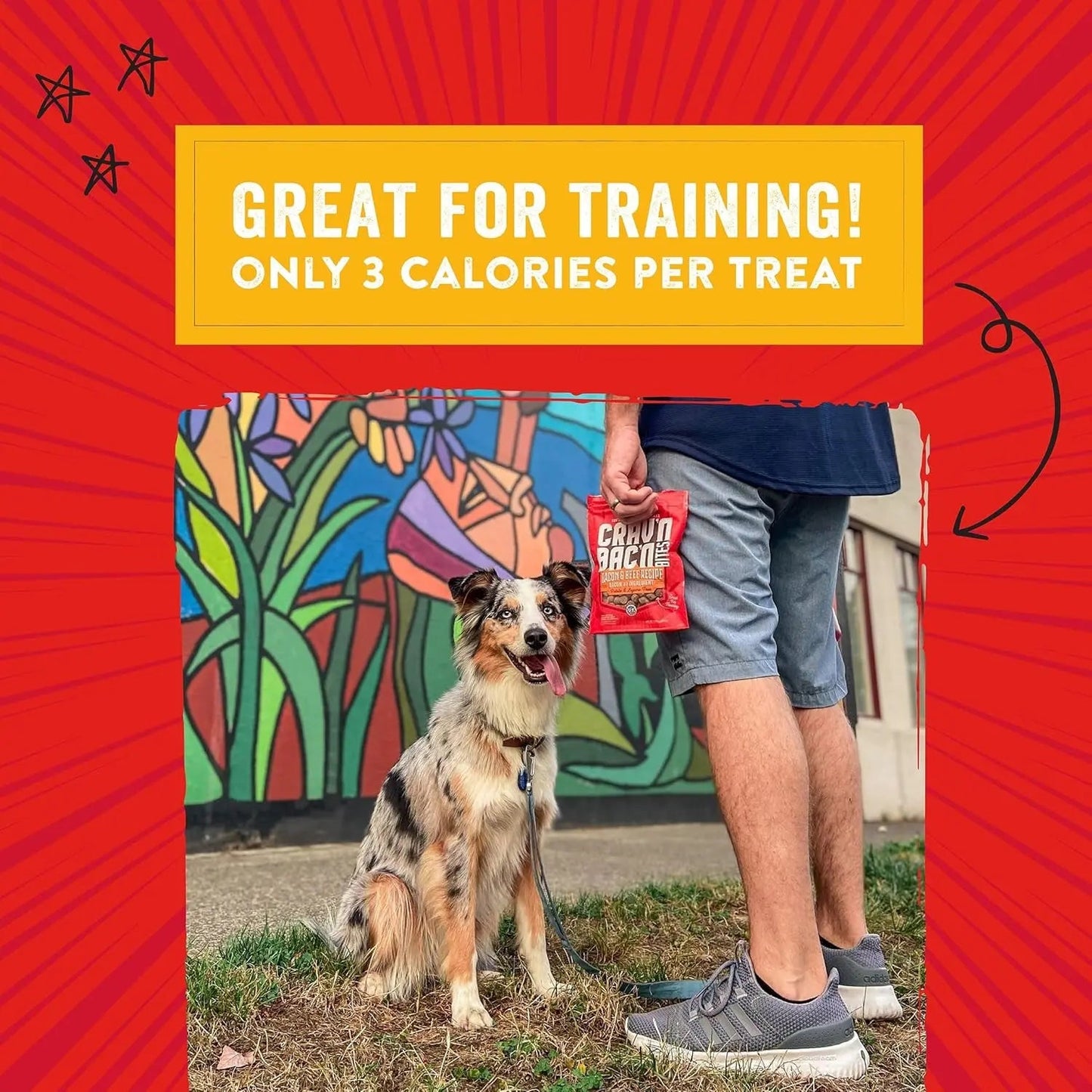 Training Dog Treats - CravN BacN Soft Bacon & Chicken Bites -