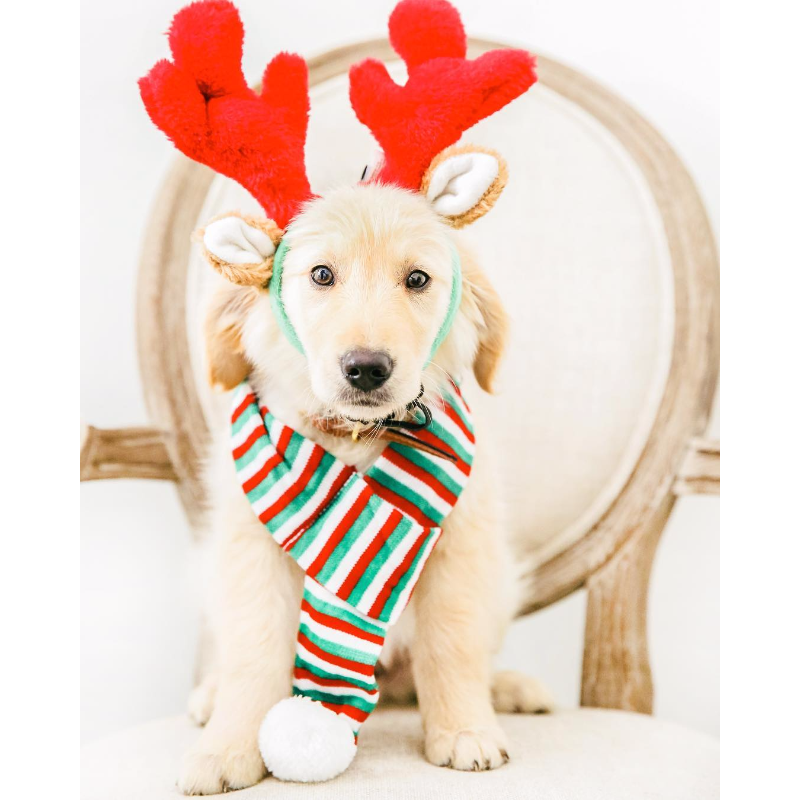 Reindeer Antlers Dog Headband