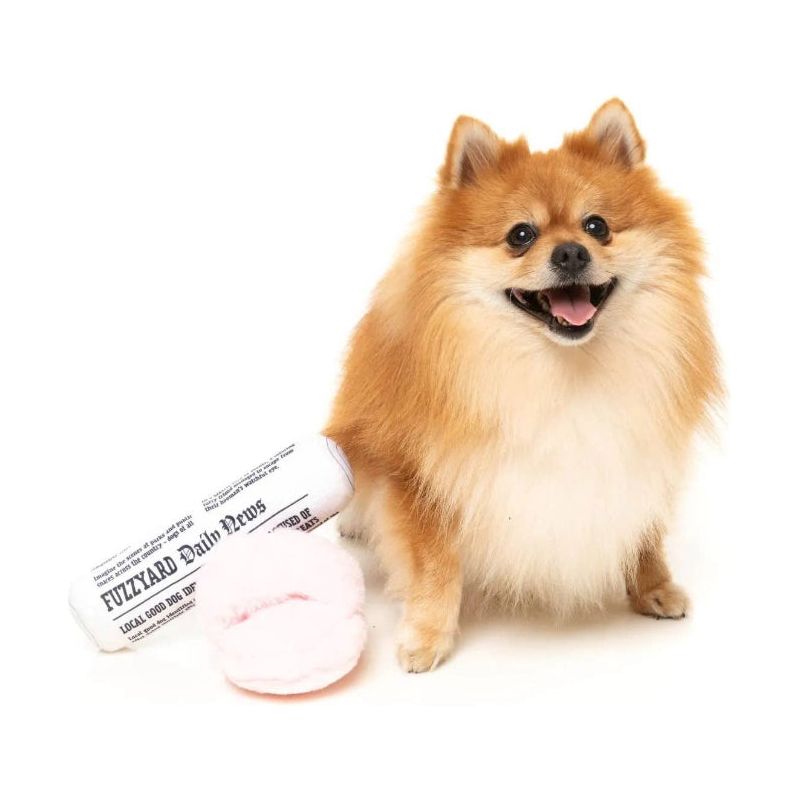 Fetch My Slippers & Paper Squeaky Plush Dog Toy Set - 2pk