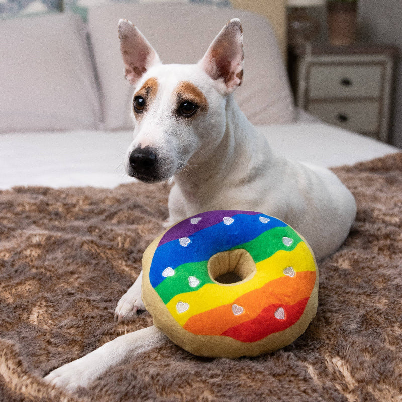 Rainbow Pride Plush Squeaky Donut Dog Toy - 2 Sizes