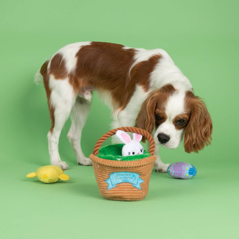 Easter Egg Hunt Squad Hide N Seek Interactive Plush Dog Toy Set - 4 Pc