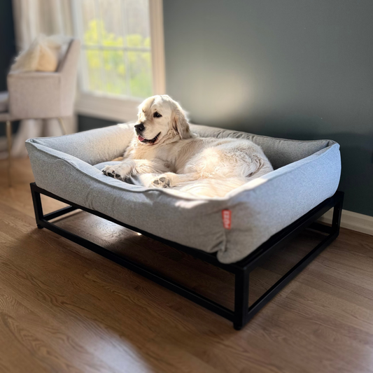 The FÜZI Elevated Dog Bed