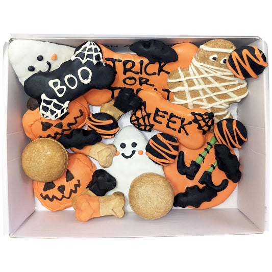 Halloween Themed Dog Treats Gift Box | Purrfect Pet Kingdom