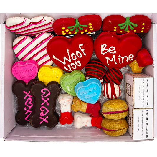 Love My Dog Themed Treats Box | Purrfect Pet Kingdom