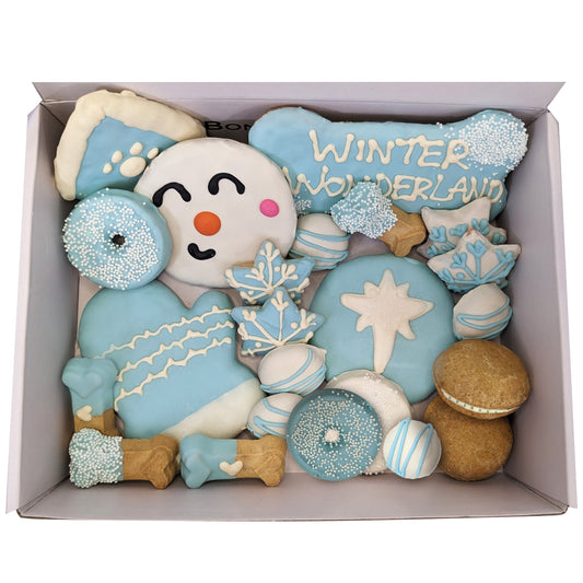 Winter Themed Dog Treats Gift Box | Purrfect Pet Kingdom