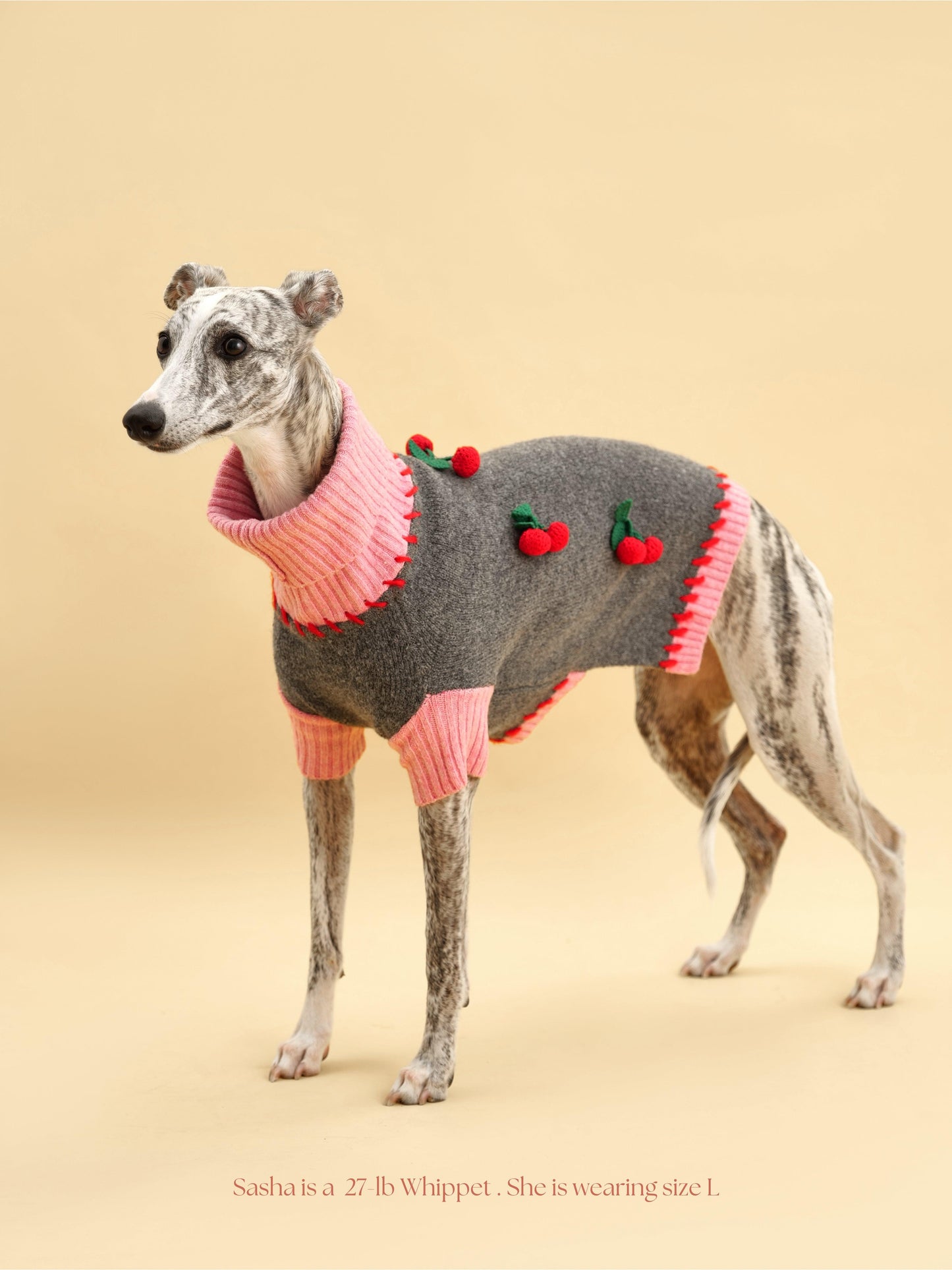 Dog Sweater Cherry Kiss Handmade Turtleneck 🧶