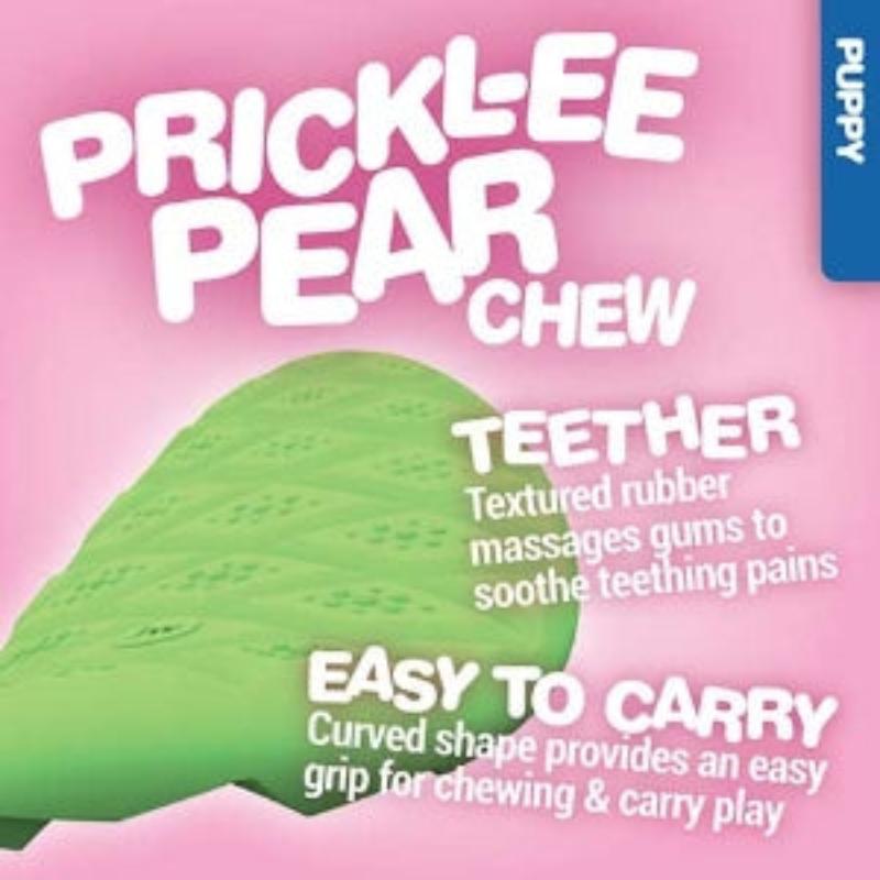 Puppy Teeth-ee Rubber Dog Toy Set - 2 Pc
