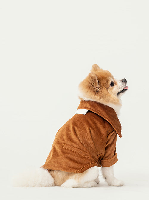 Stainway Shirt Orange Dog Apparel Premium Pet Supply Premium - detail view