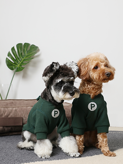 Embroidery Waffle T Shirt Green Dog Apparel Premium Pet - detail view