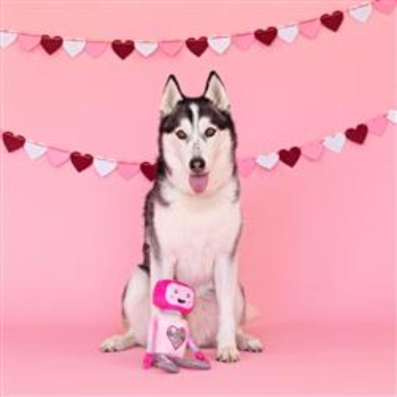 Will You Beep My Valentine Pink Plush Dog Toy