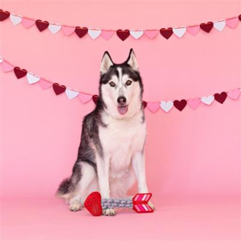 Aiming For You Arrow Heart Rope Plush Dog Toy