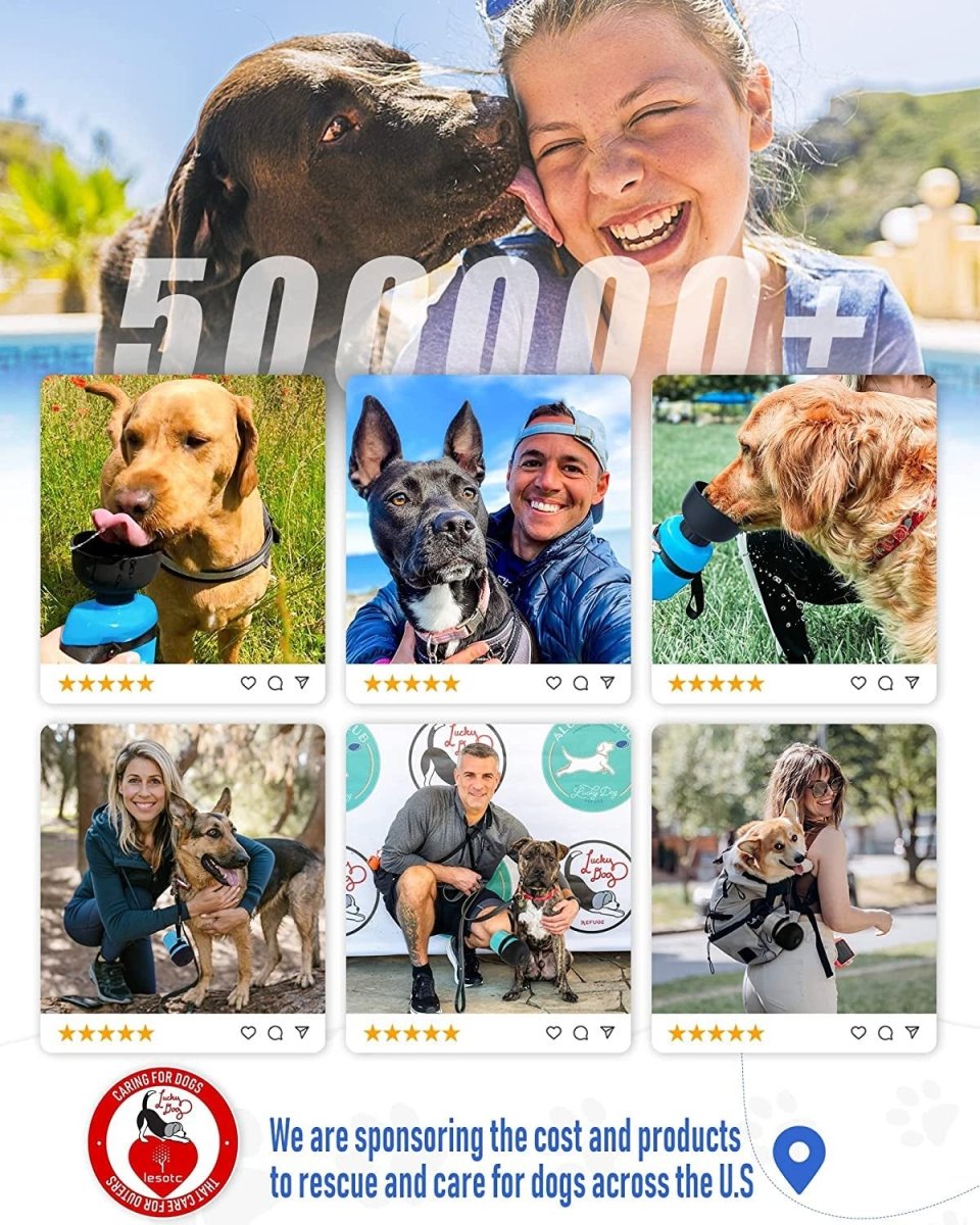 Pet Water Bottle 2022 Upgraded Portable Travel ๐ง